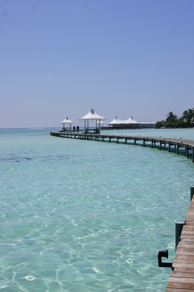 Carnet de voyage : les Maldives