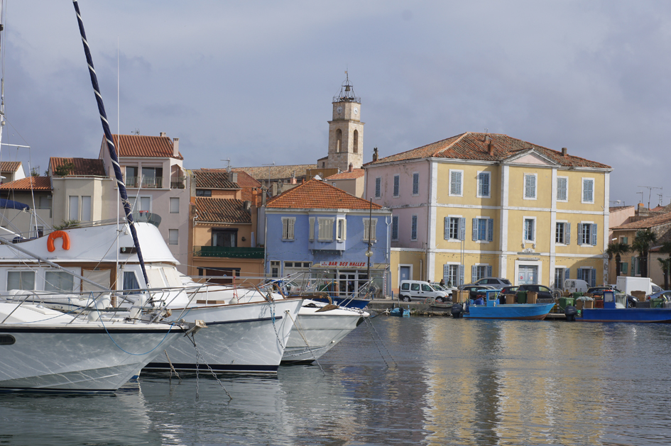 Hema_Mariniere_pourpre_Martigues