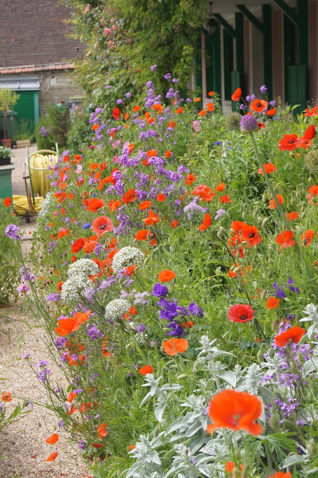 Hema_giverny_jardin_monet3