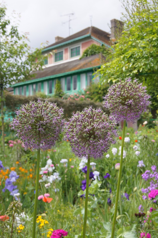 Fondation Claude Monet à Giverny : le paradis des fleurs