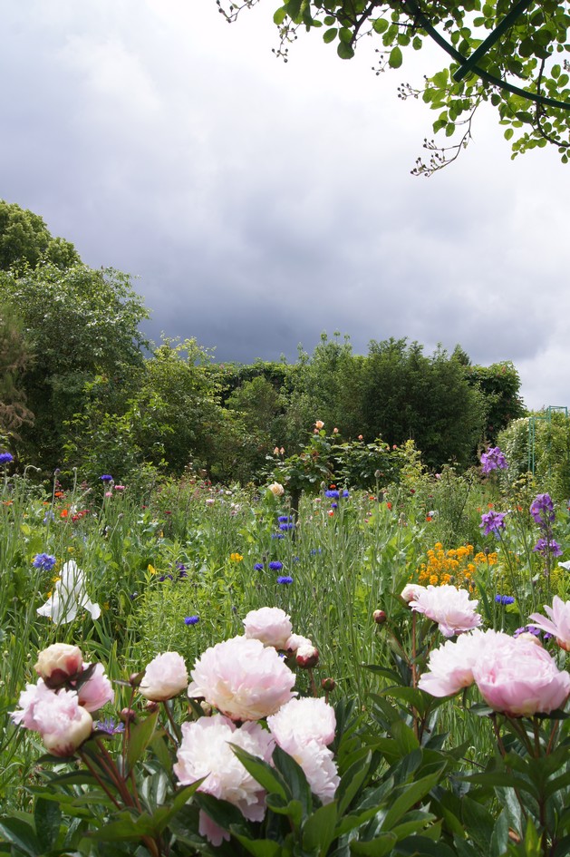 Hema_giverny_jardin_monet8