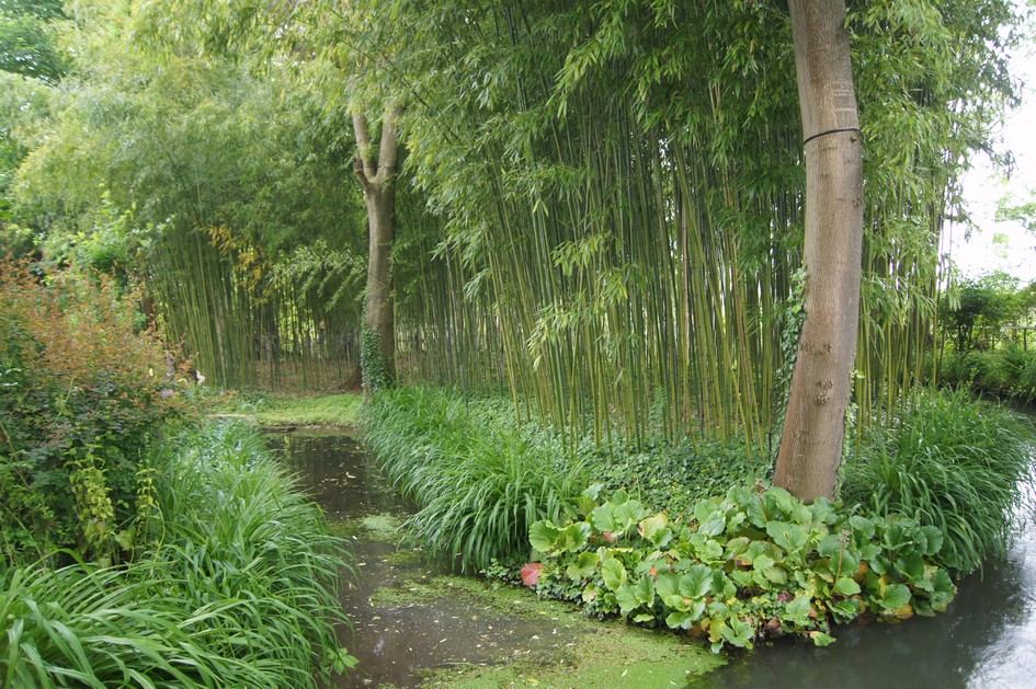 Hema_giverny_monet_jardin_deau1