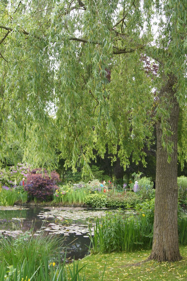 Hema_giverny_monet_jardin_deau7