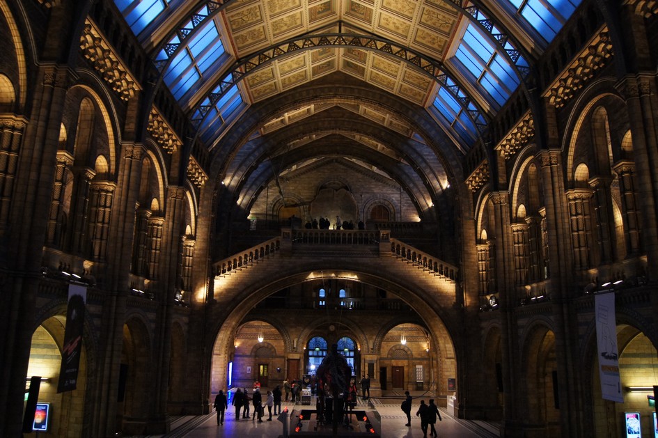 Hema_natural_history_museum_london16