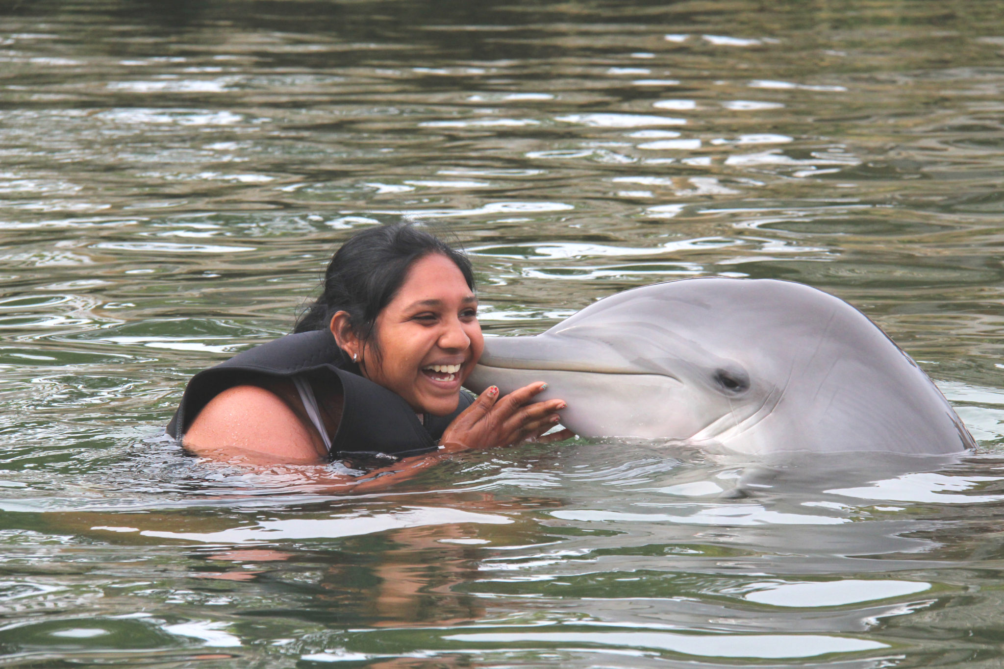 Nager avec les dauphins @ Dolphin Plus, Floride (ou réaliser un rêve d’enfant)