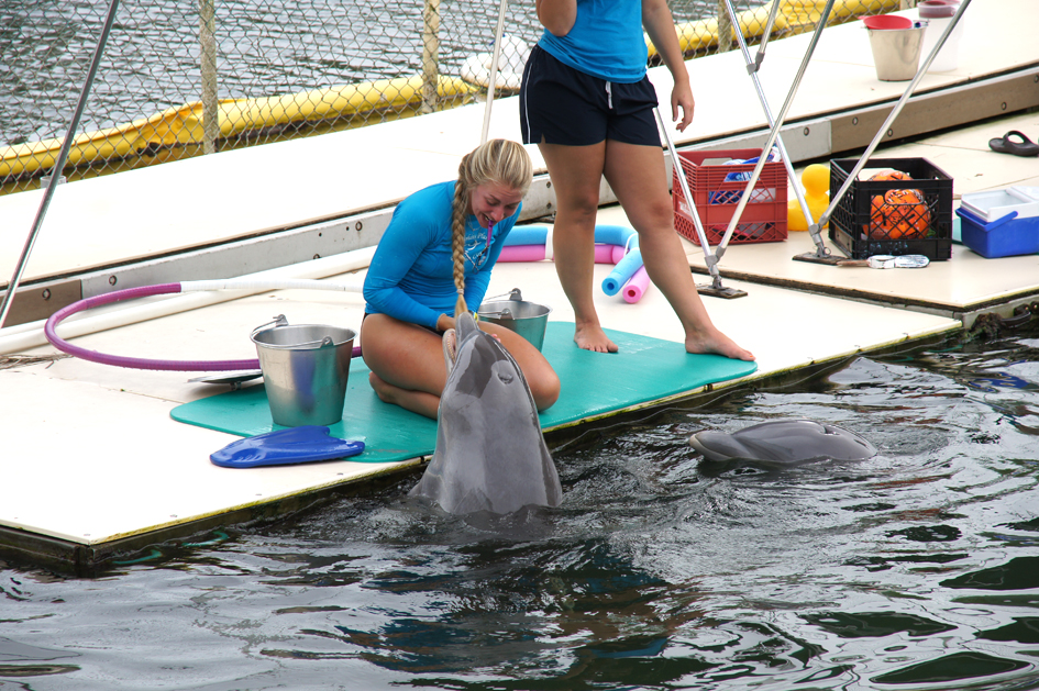 Hema_nager_avec_les_dauphins_dolphin_plus10