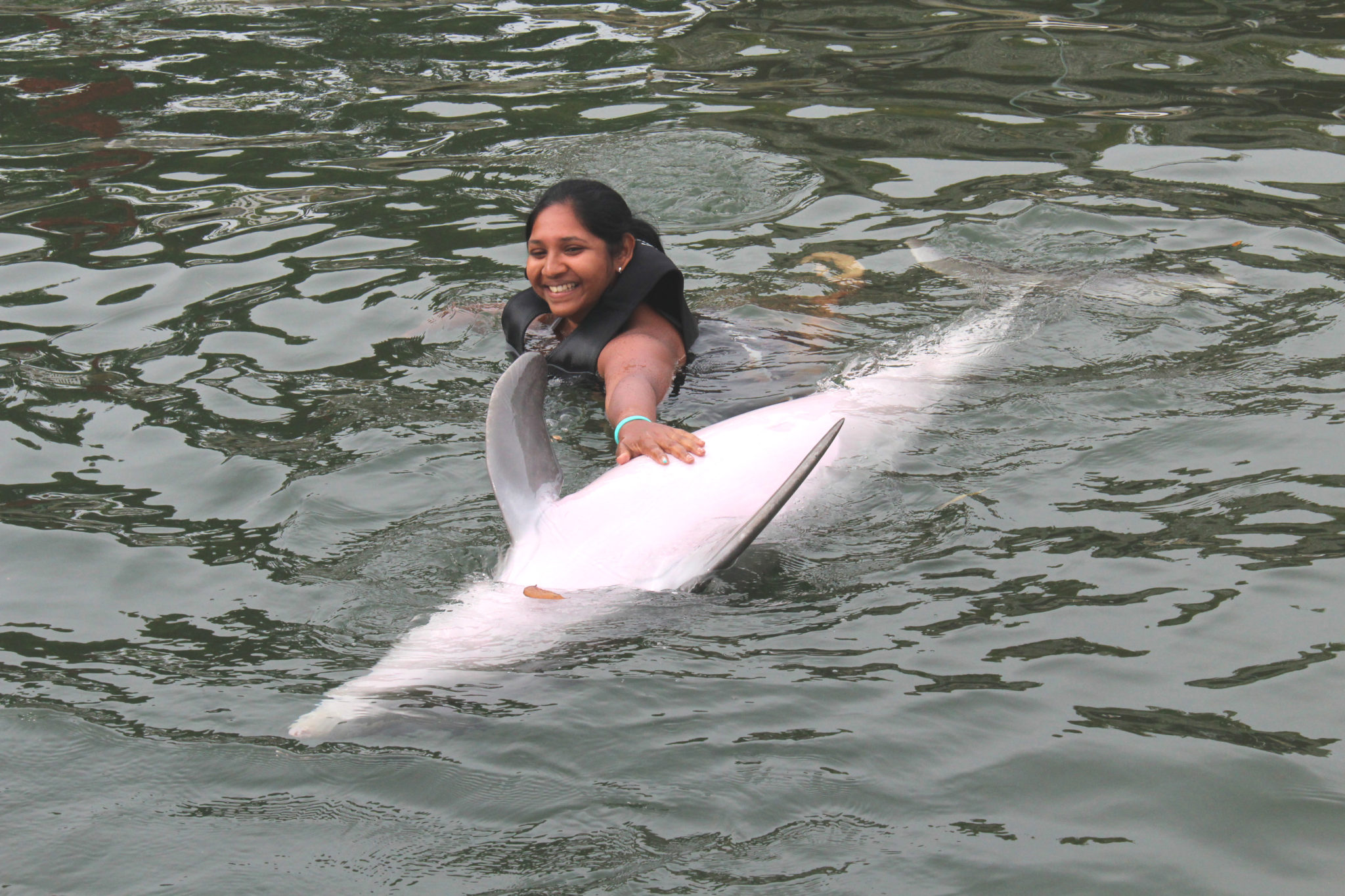 Hema_nager_avec_les_dauphins_dolphin_plus11