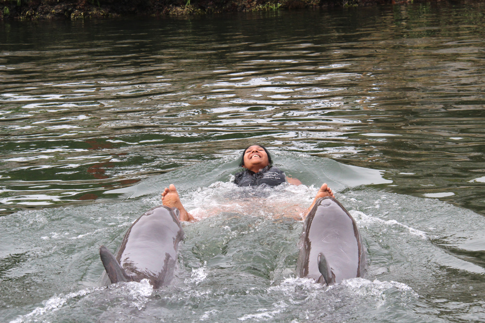 Hema_nager_avec_les_dauphins_dolphin_plus15