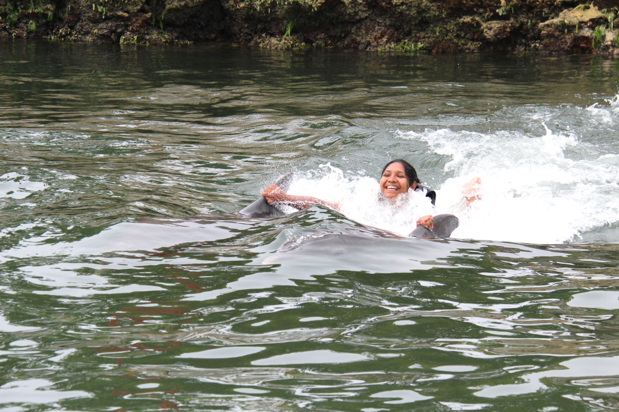 Hema_nager_avec_les_dauphins_dolphin_plus16