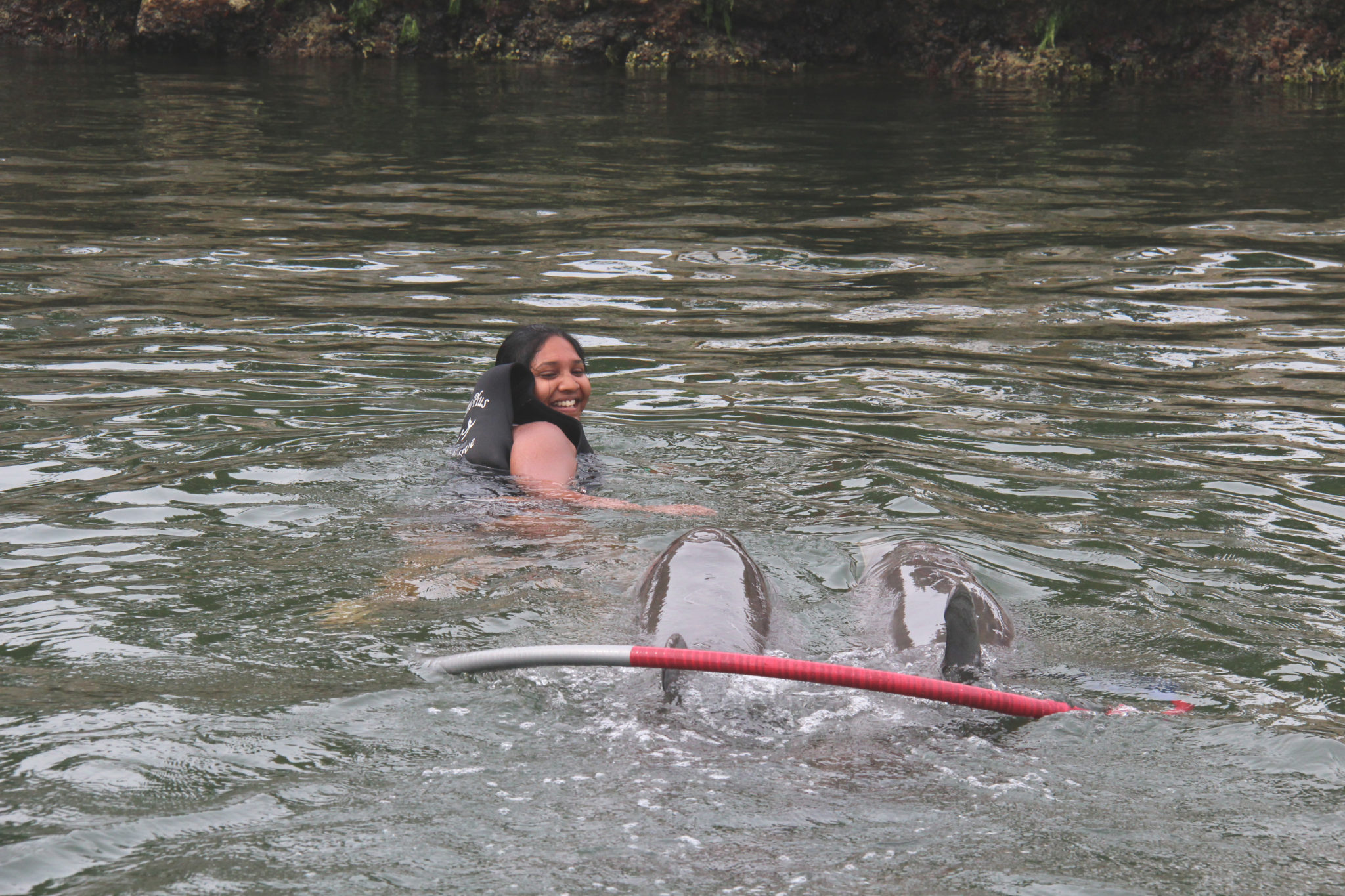 Hema_nager_avec_les_dauphins_dolphin_plus17