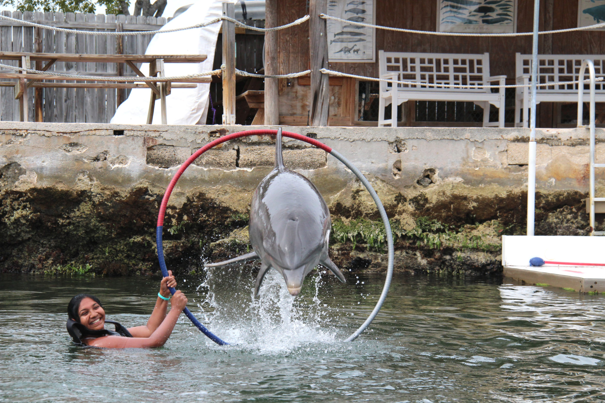 Hema_nager_avec_les_dauphins_dolphin_plus18