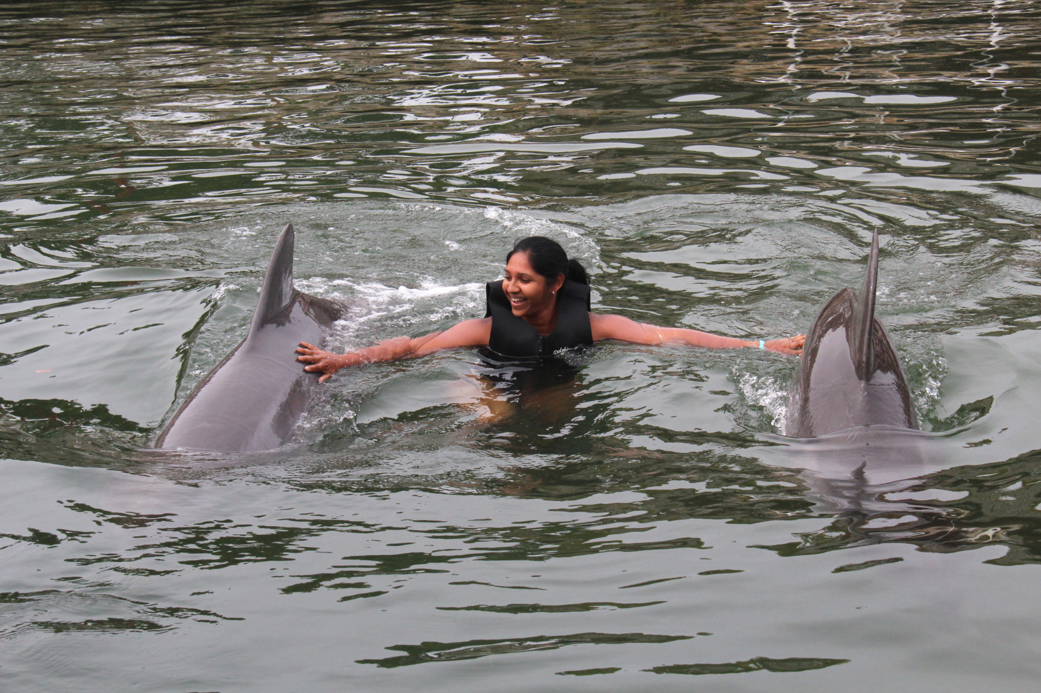 Hema_nager_avec_les_dauphins_dolphin_plus3