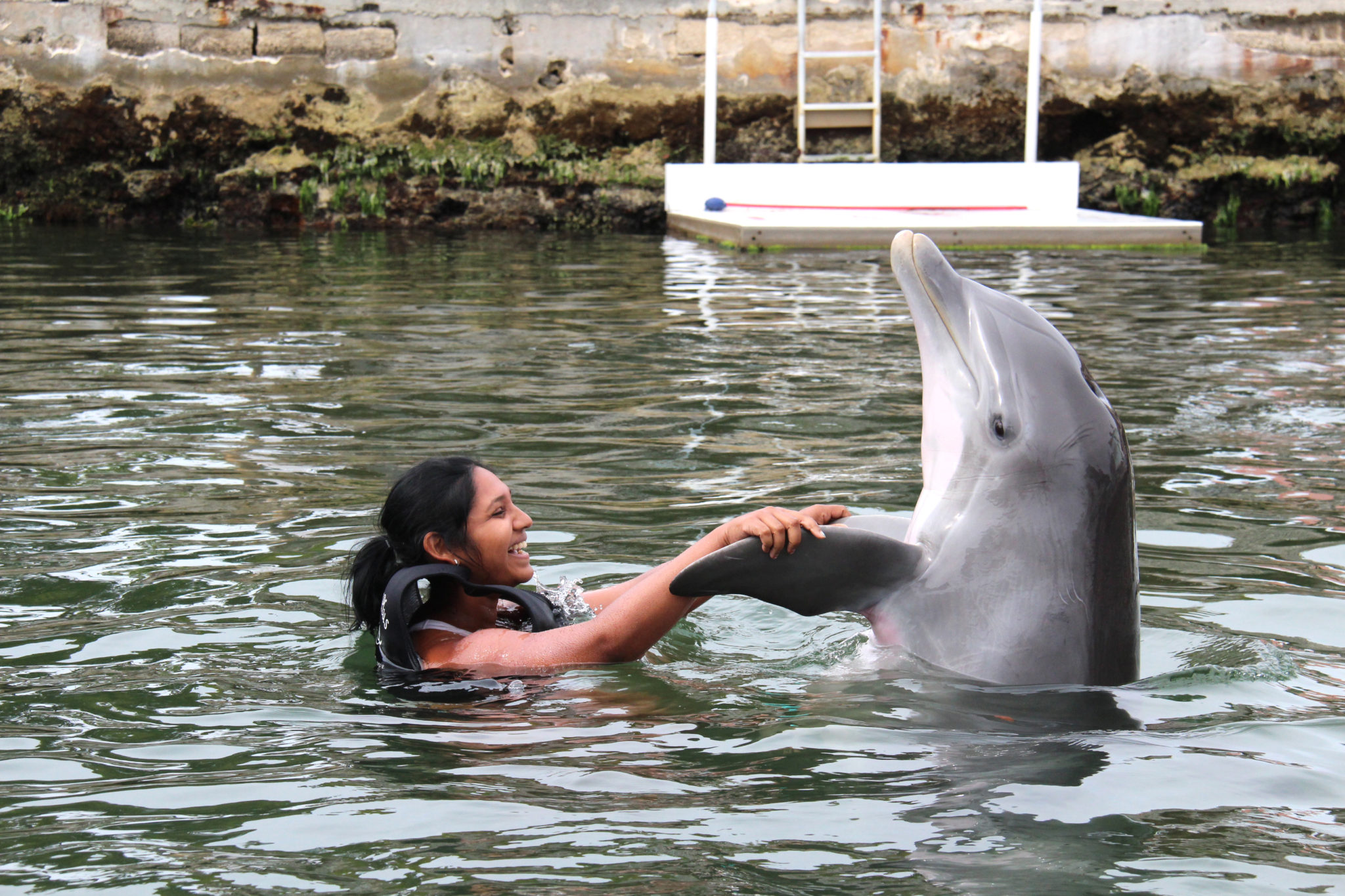 Hema_nager_avec_les_dauphins_dolphin_plus6