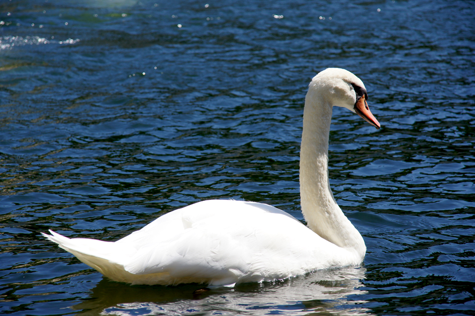 hema_nimes_jardin_de_la_fontaine3