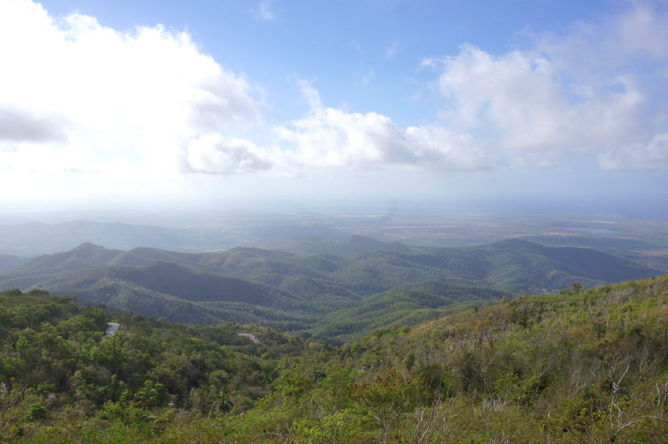 Topes de collantes