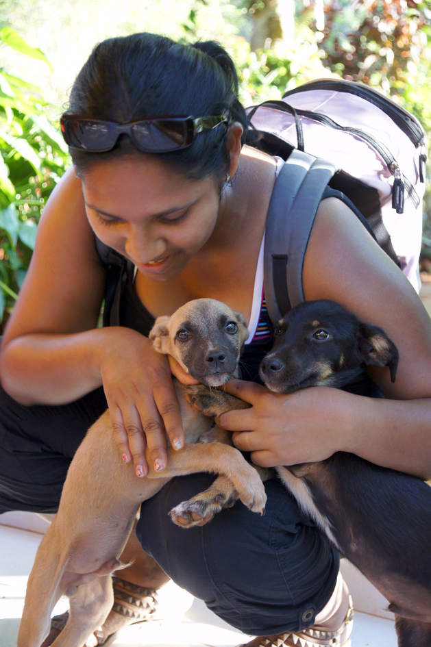 hema_cuba_baracoa_finca_puppy