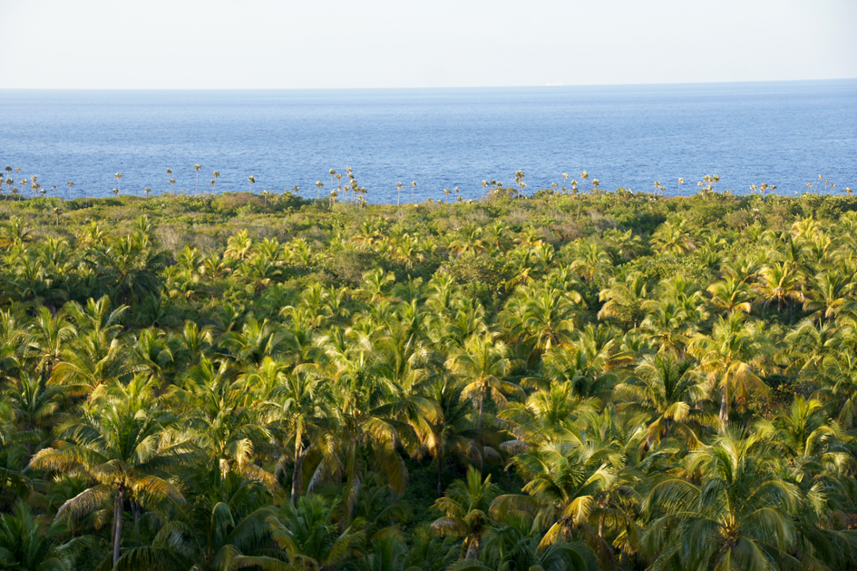 hema_cuba_baracoa_parque_nacional_majayara4