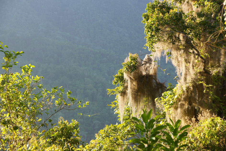 hema_cuba_parque_nacional_turquino2