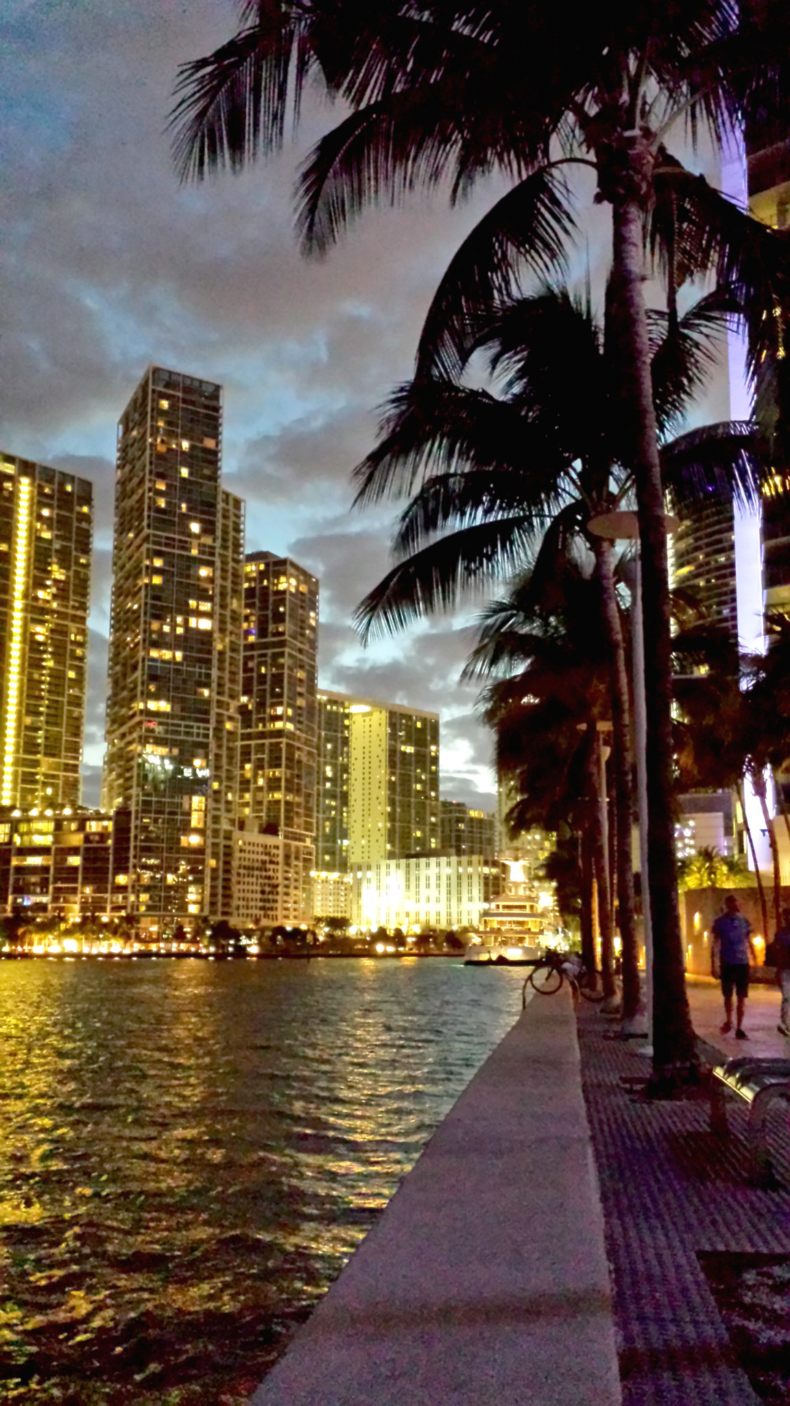 Hema_Florida_Miami_Downtown_bayside