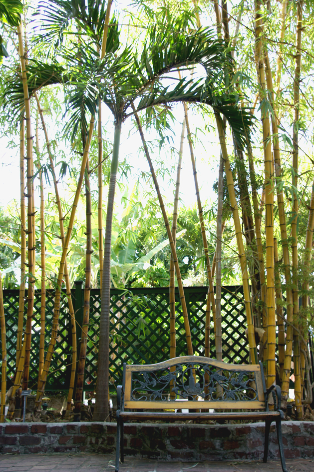 hema_florida_key_west_hemingway_garden1