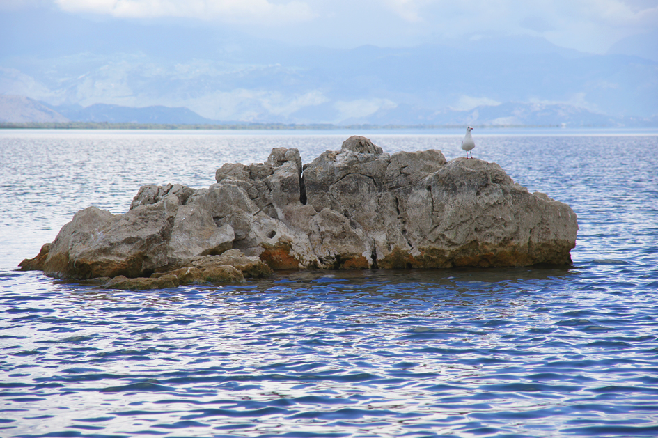 Hema_Montenegro_Virpazar_Lake_Skadar_Seagull_Blog_Voyage_Travel8