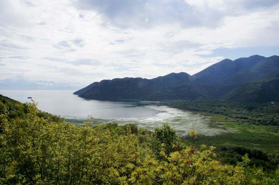 Montenegro : Godinje