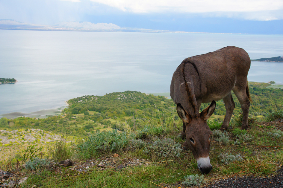 Hema_Montenegro_Lake_Skadar_Blog_Voyage_Travel_3