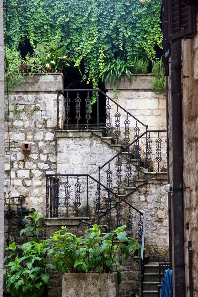hema_montenegro_kotor_old_city_stairs_nature