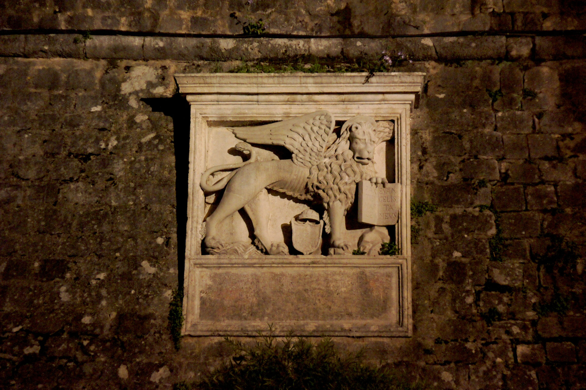 hema_montenegro_kotor_symbol_lion