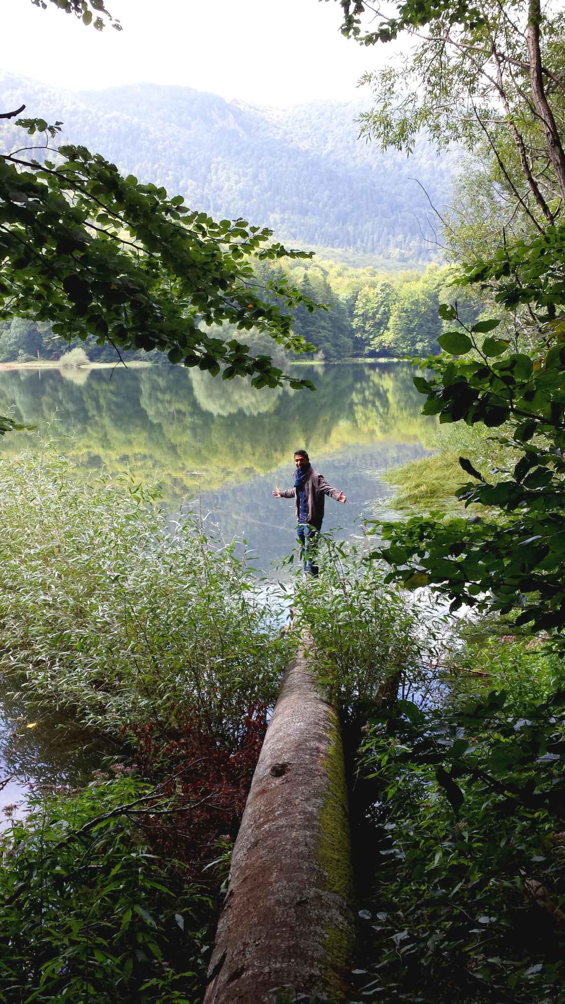 Hema_Montenegro_parc_national_biogradska_gora_forest_travel_voyage_blog18