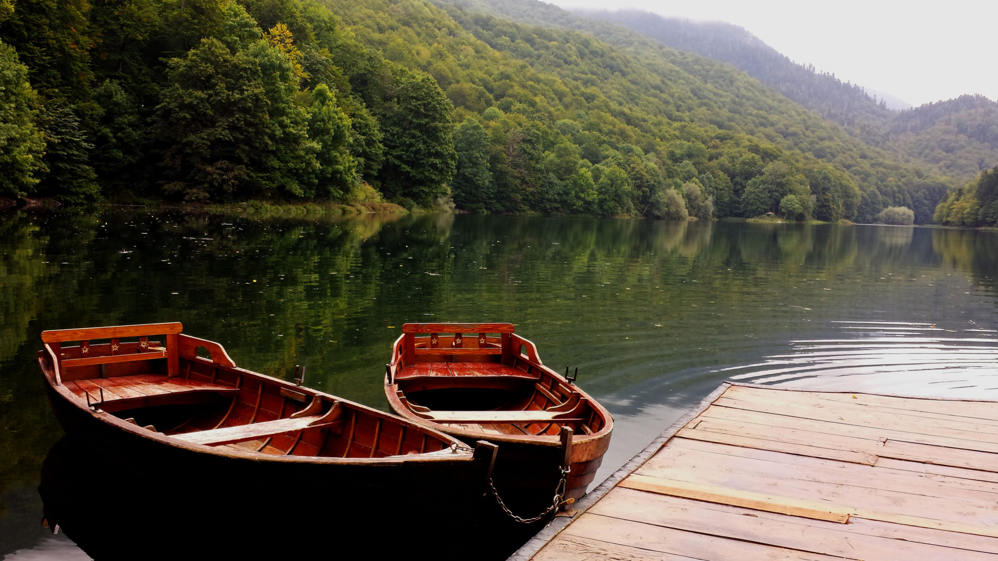 Montenegro : Parc National de Briogradska Gora