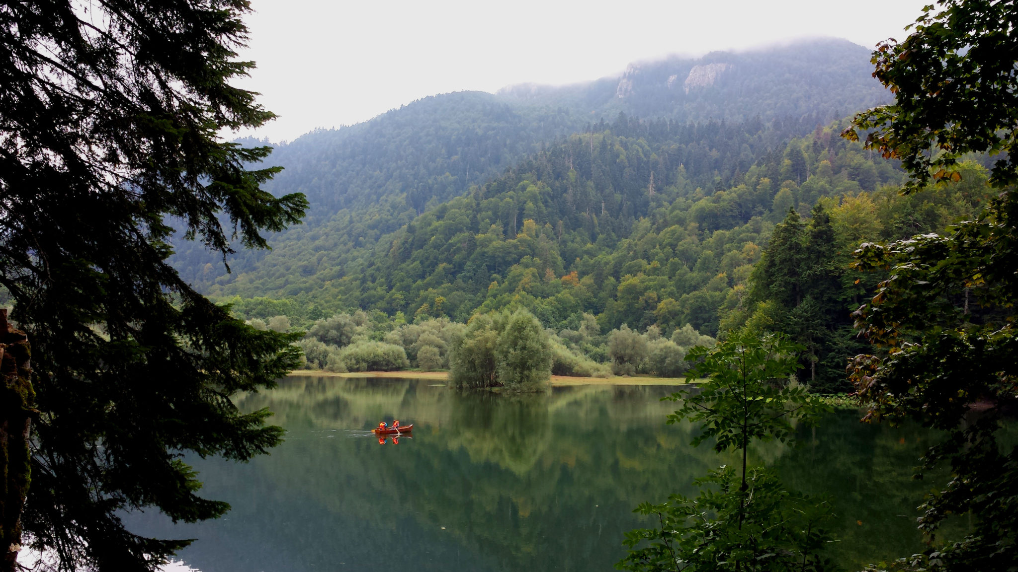 Hema_Montenegro_parc_national_biogradska_gora_forest_travel_voyage_blog6
