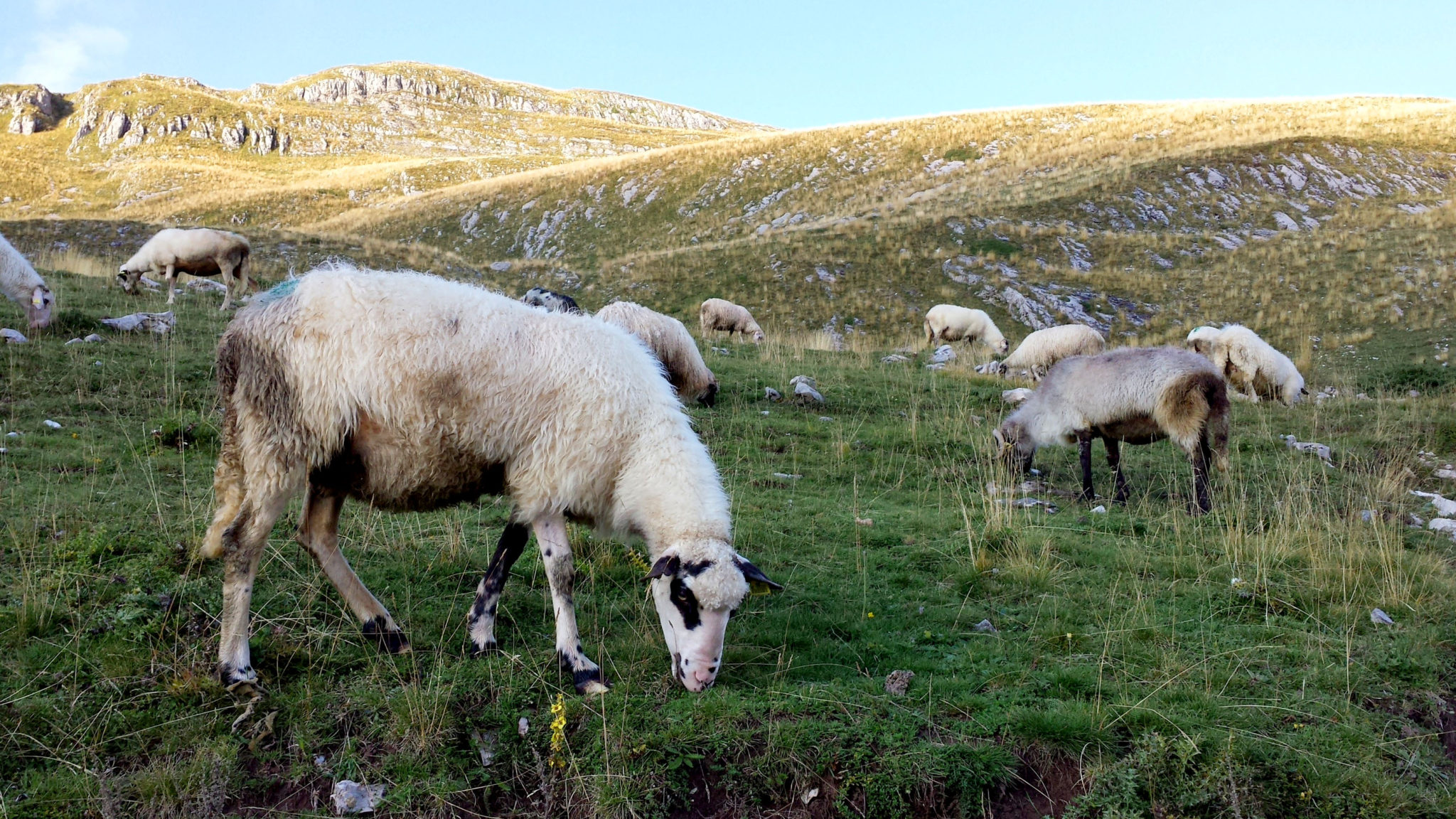 Hemaposesesvalises_vers_le_parc_de_durmitor_trsa_travel_voyage_blog12