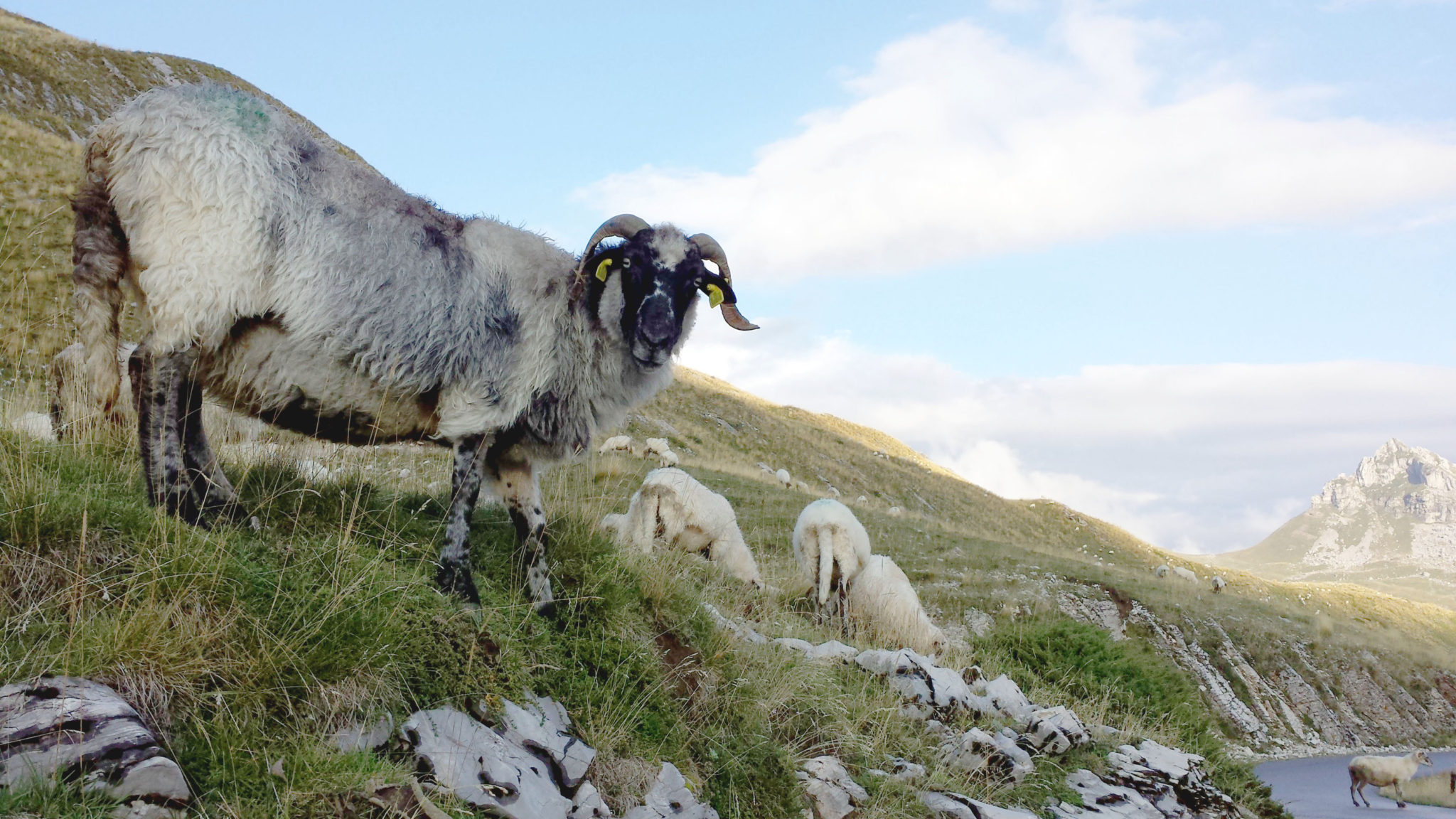 Hemaposesesvalises_vers_le_parc_de_durmitor_trsa_travel_voyage_blog13