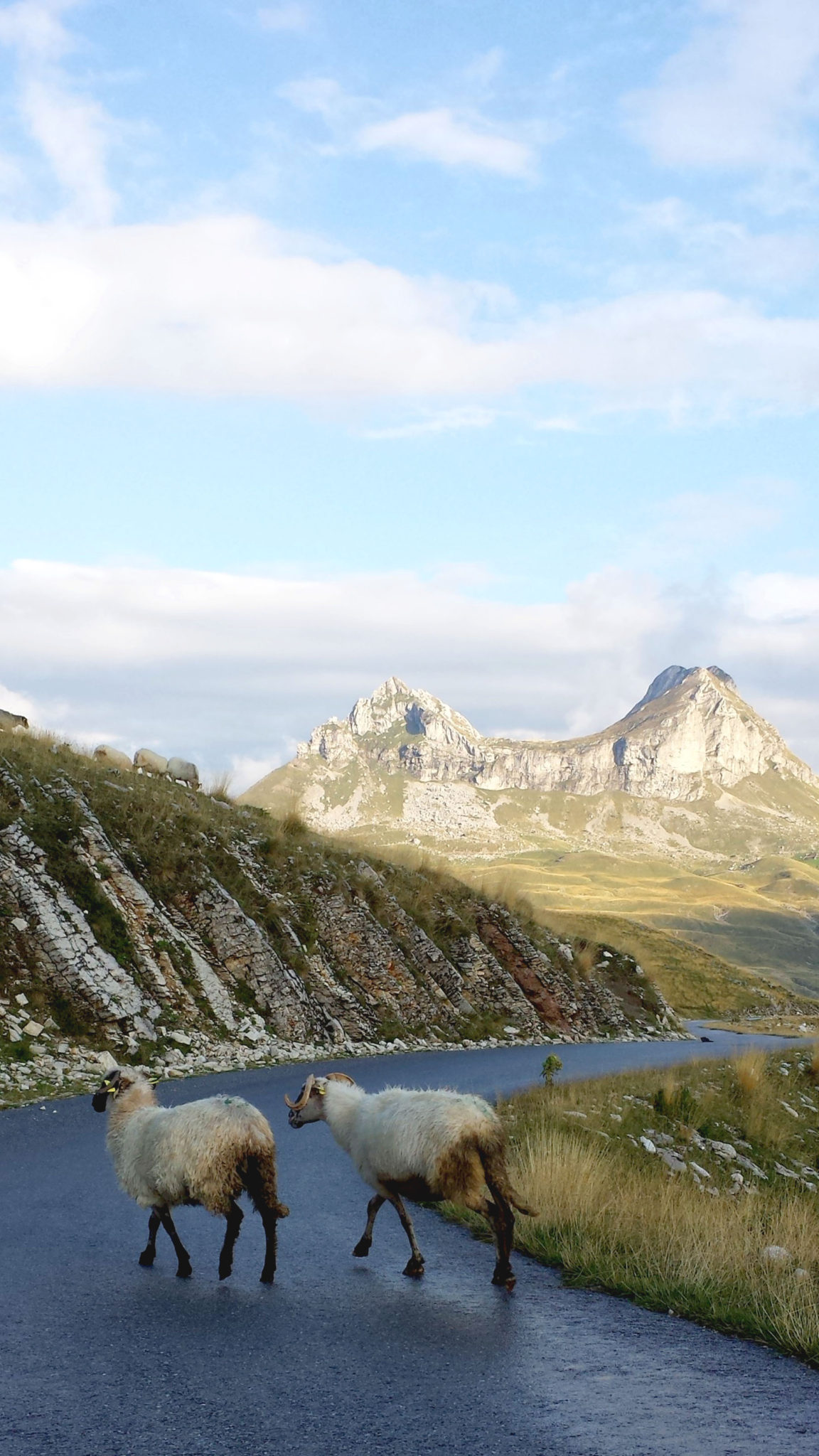 Hemaposesesvalises_vers_le_parc_de_durmitor_trsa_travel_voyage_blog14