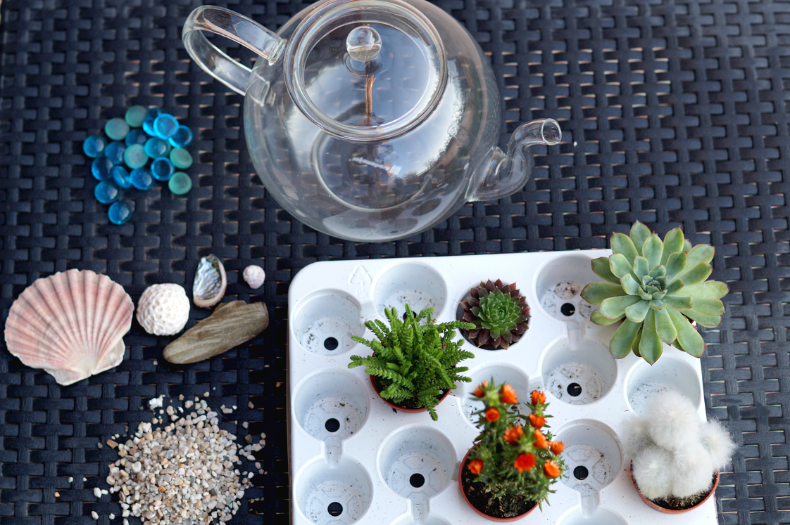 Hema_pose_ses_valises_jardin_d'intérieur_terrarium_theiere_diy_2