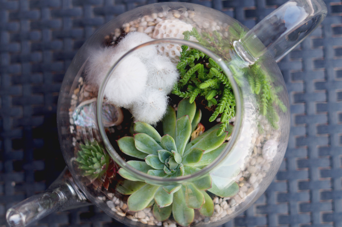 Hema_pose_ses_valises_jardin_d'intérieur_terrarium_theiere_diy_5