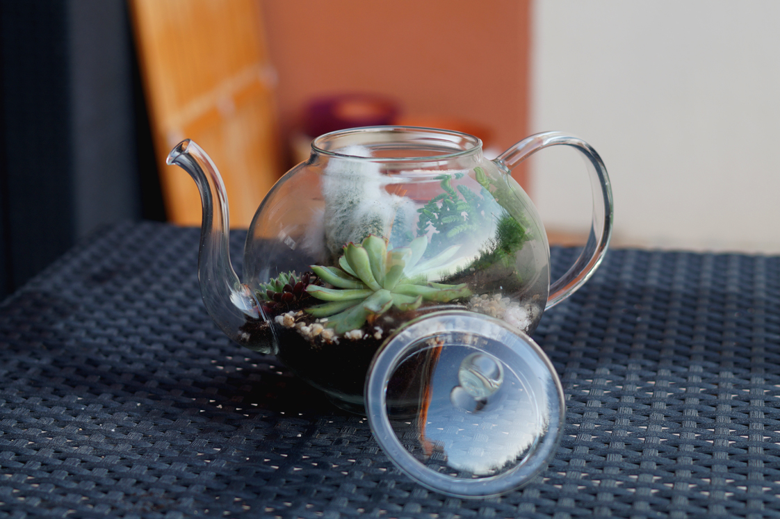 Hema_pose_ses_valises_jardin_d'intérieur_terrarium_theiere_diy_8