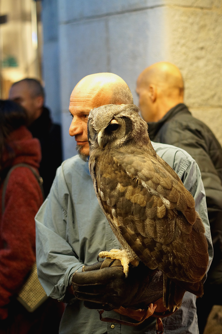 Hema_pose_ses_valises_les_docks_marseille_inauguration_2015_vol_en_scene_Tiago_3