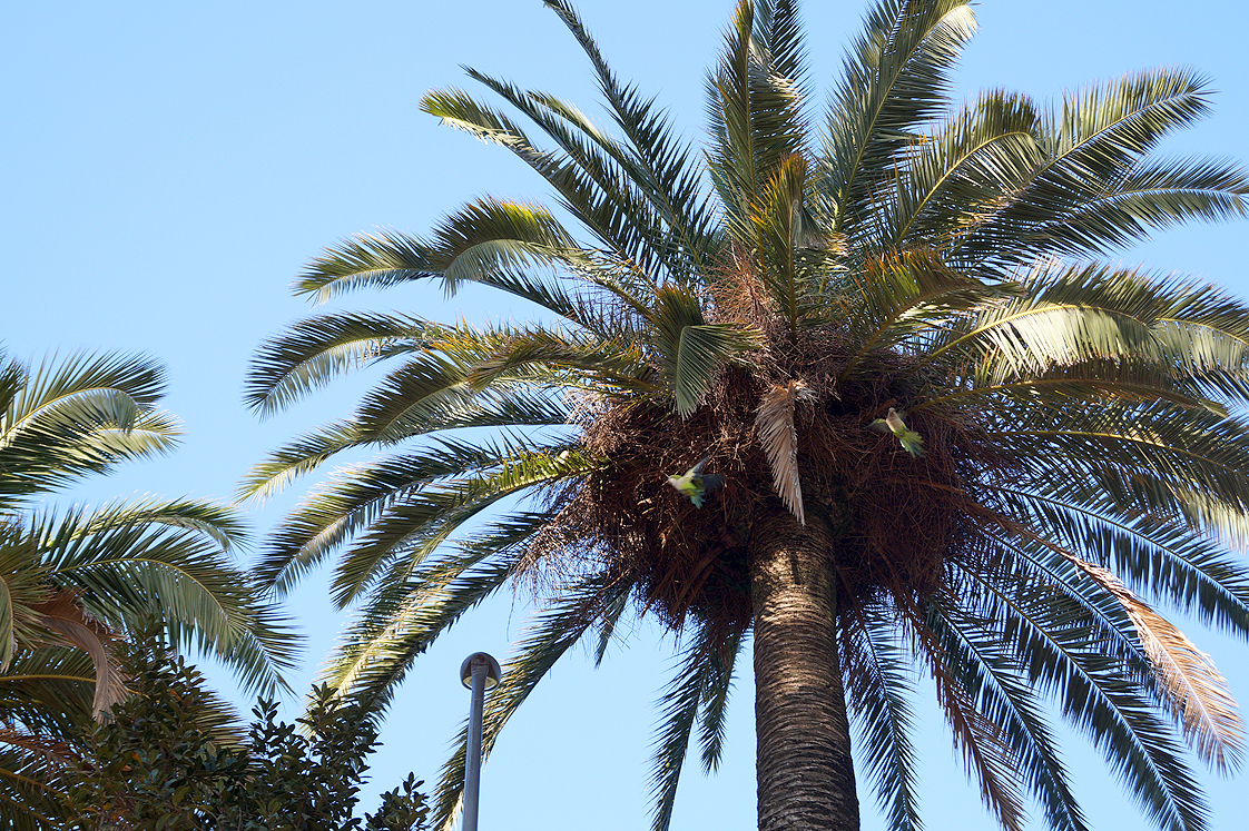 Hema_pose_ses_valises_barcelone_cityguide_parc_guell_8