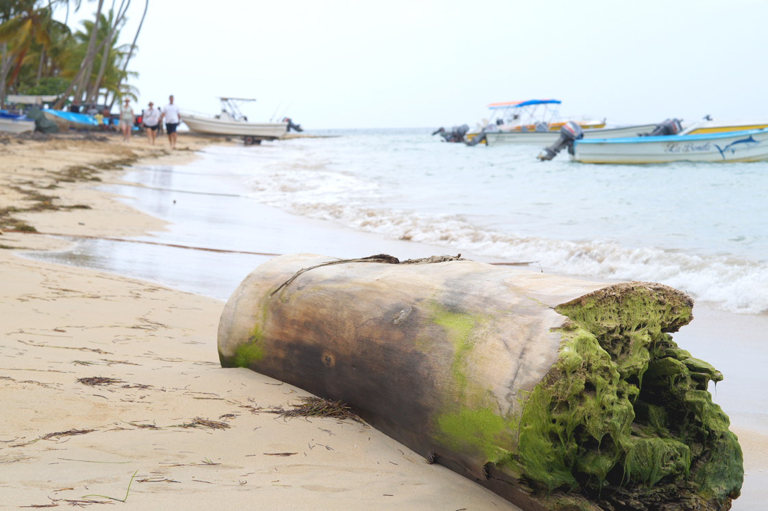 Hema_pose_ses_valises_republique_dominicaine_las_terrenas_tronc_plage_9