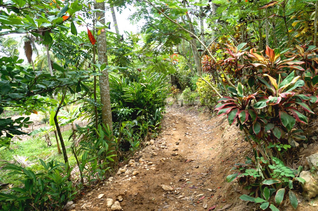 Hema_pose_ses_valises_voyage_roadtrip_trekking_limon_republique_dominicaine_1