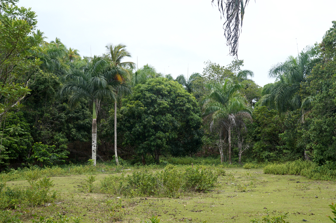 Hema_pose_ses_valises_voyage_roadtrip_trekking_limon_republique_dominicaine_foret