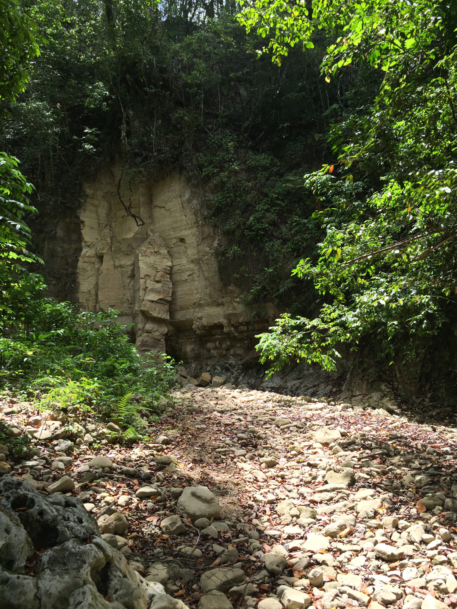 Republique_dominicaine_damajagua_lack_water