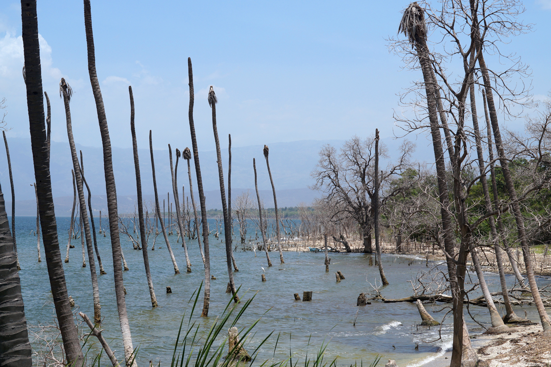 Republique_dominicaine_lago_enriquillo_paysage_mangrove_nord