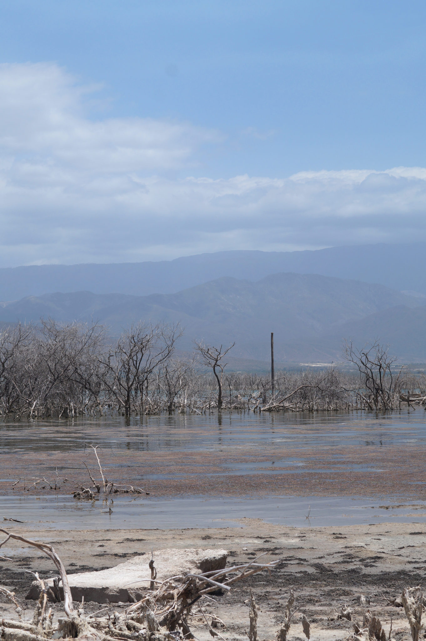 Republique_dominicaine_lago_enriquillo_paysage_mangrove_secheresse