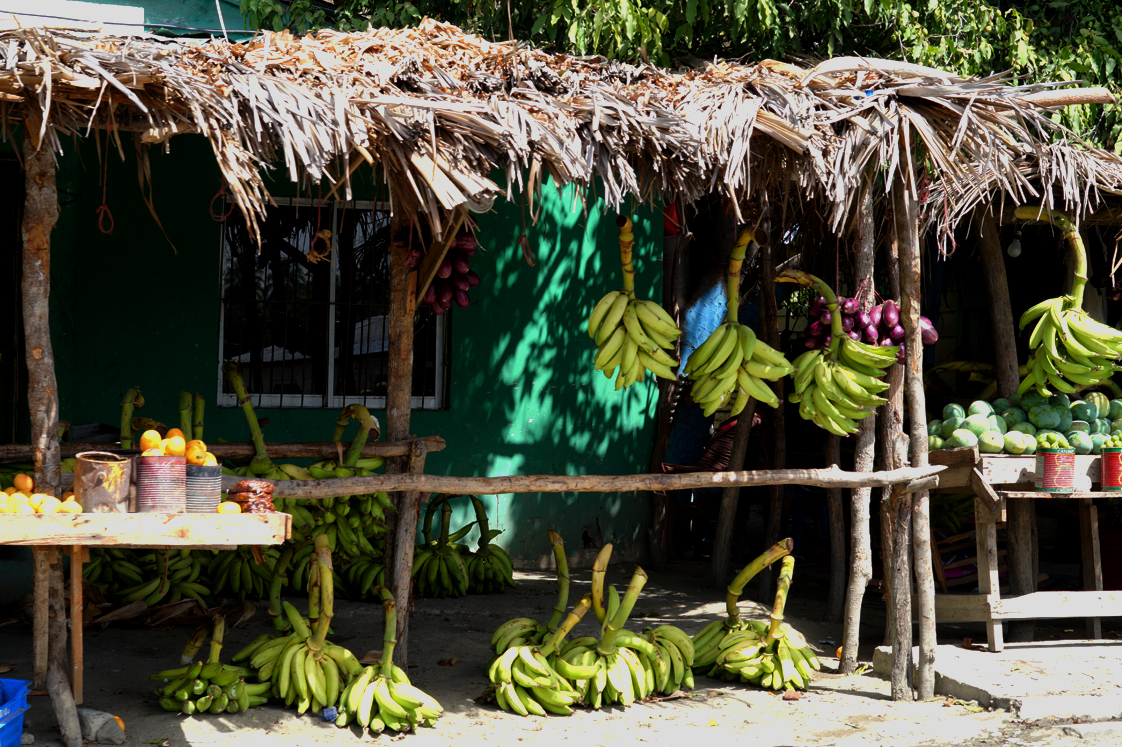 Roadtrip_republique_dominicaine_bananes_echoppe