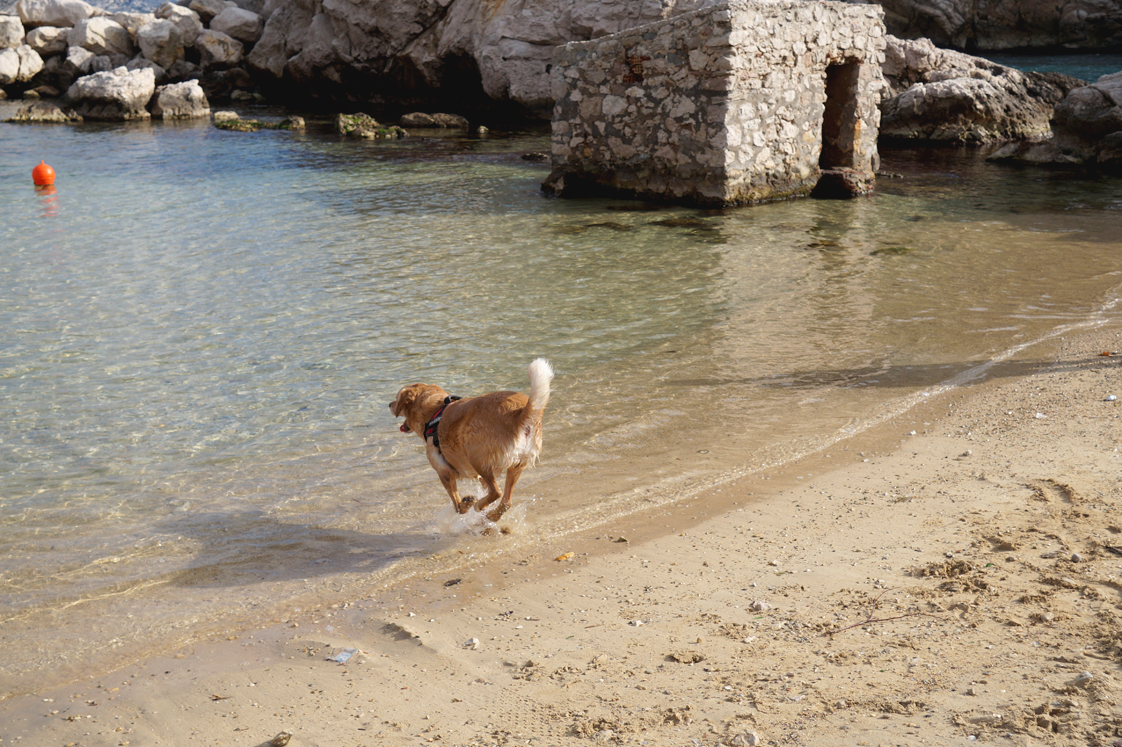 Marseille_cap_croisette_bailey