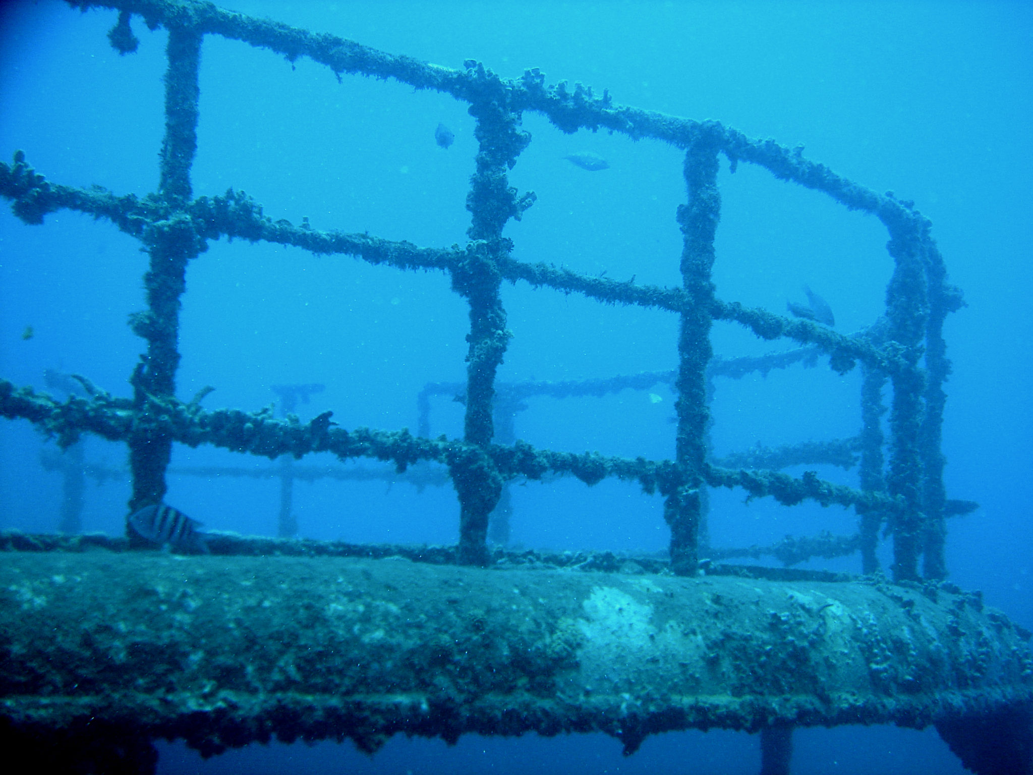 Republique_dominicaine_bayahibe_plongee_scubafun_atlantic_princess_epave_ponton