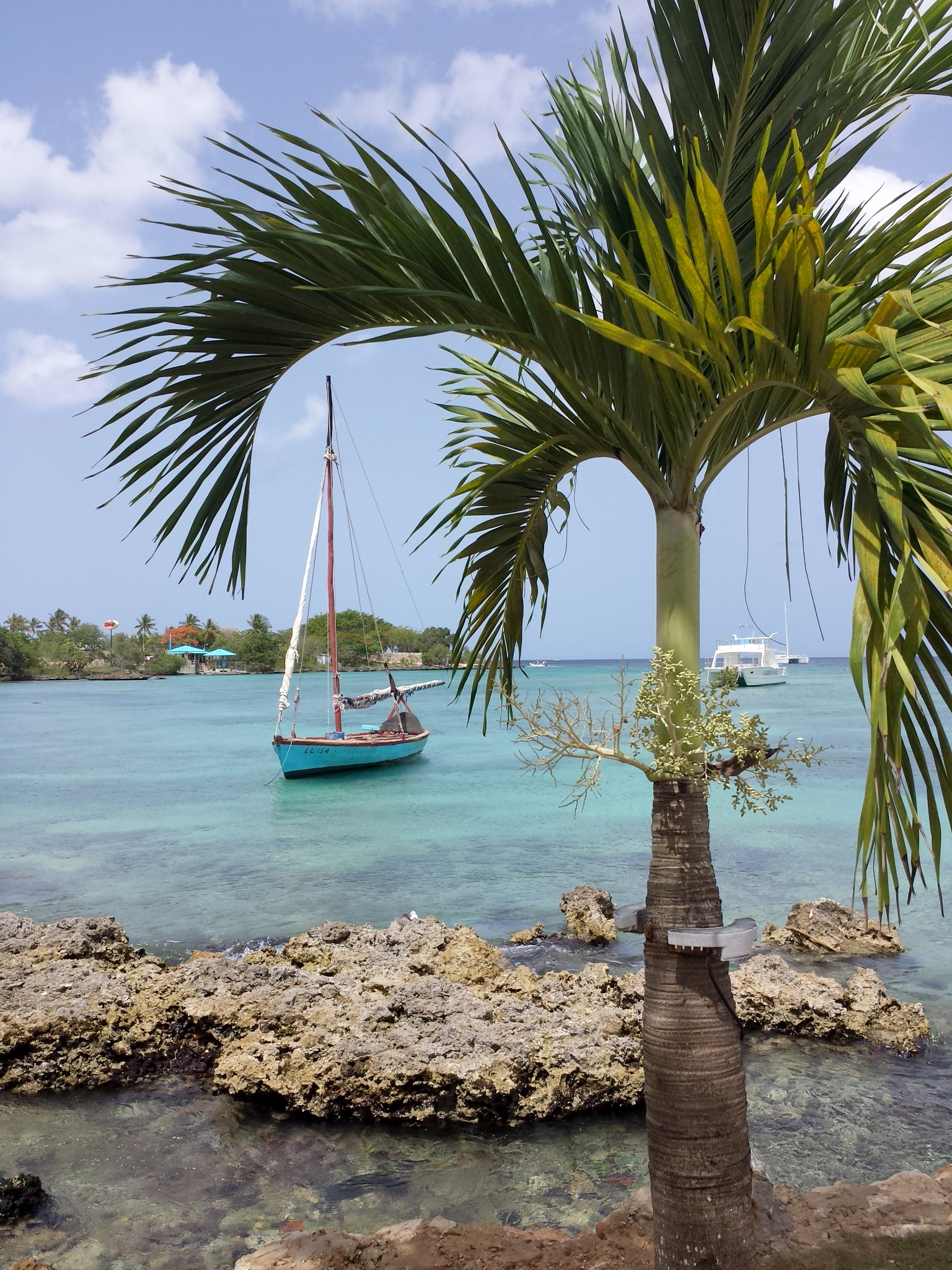 Republique_dominicaine_roadtrip_bayahibe_bateau_palmier